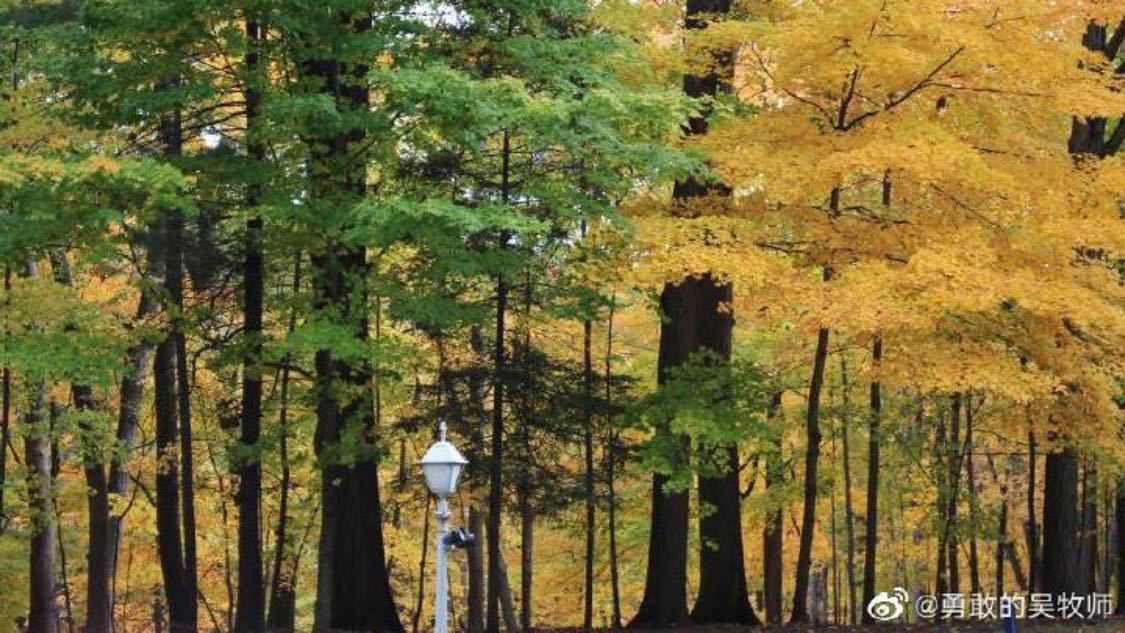 近期裂变推广数字化构建您的内容库:一手货源网站的数据保护措施,快手业务涨赞网站：自媒体运营实战干货分享与技巧精讲